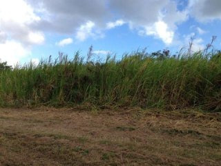 Property For Sale: Frere Pilgrim Lot..