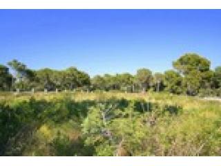 - Land - Illes Balears - For Sale