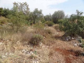 Land in Mrkovi, Luštica