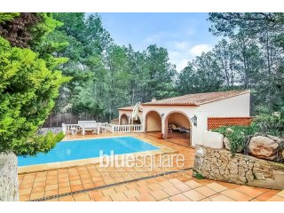 Lovely rustic finca with mountain views