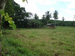 Cattle Farm Near Rio San Juan - Ideal..