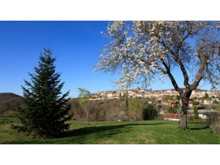 Well Renovated Stone House With Garden..