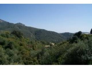- Property - Malaga - For Sale