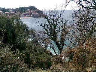 Bare land near Sveti Stefan, Budva