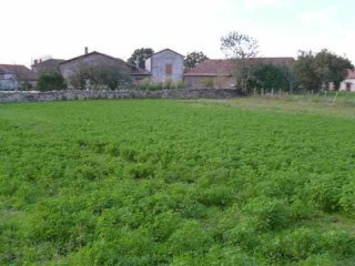 1,300 m2 Building Plot At Busserolles..