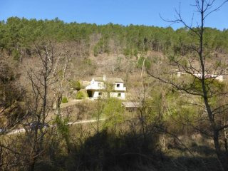 Character House In The Heart Of A Forest