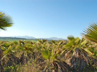 Beautiful Rural Plot In Maria De La..
