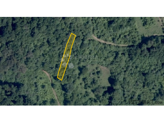 Prodaje se poljoprivredno zemljište 445 m² – obraslo šumom !