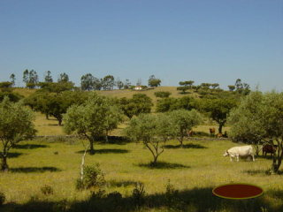 4 Bedrooms - Land Or Ruin - Beja - For..