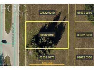 Land For Sale: Cape Coral, Florida