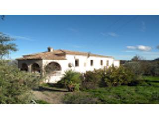 5 Bedrooms - Property - Alicante - For..