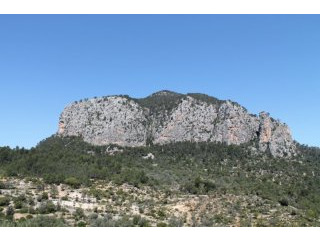 Hill plot with building permission