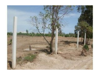 terrain de 1655 m2