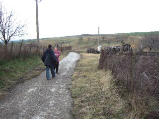 Land in Vedrina, Dobrich