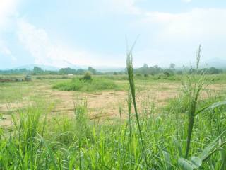 Land Plot adjacent to Phoenix Golf..