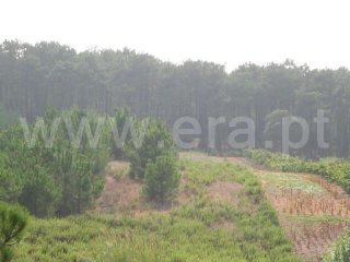Plot, Peniche, Casais De Mestre Mendo