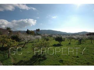 Plot - Capdella