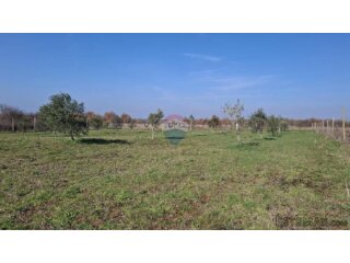 Istra,Novigrad,okolica-Poljoprivredno zemljište 5217 m2