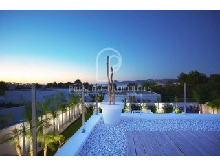 Modern villa with garden and rooftop..