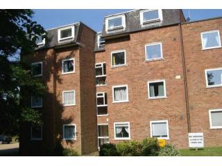 2 bed flat to rent