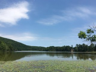 Land For Sale: Lake Rd Pine Plains NY..