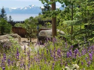 Land For Sale: Kings Beach, California