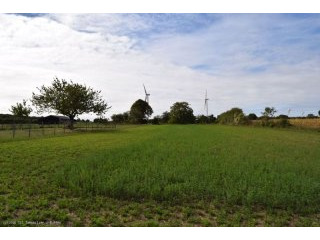 Plot Of Land On 2850m2 Close To Ruffec