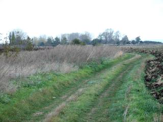 Land in Krapets, Shabla