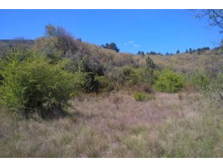 Land with 3 hectares with viability of..