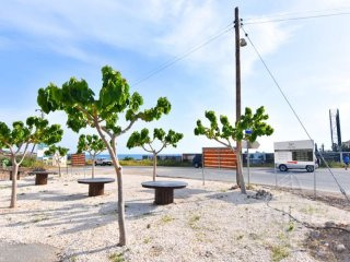 Land in Paphos, Cyprus, for Sale -..