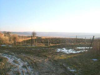 Land in Zlatiya, Dobrich