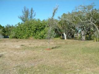 Land For Sale: 625 Neptune Ave..