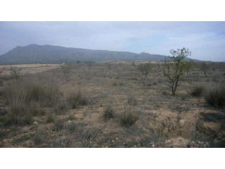 0 bedroom Land in Jumilla (Ref. PV3415)