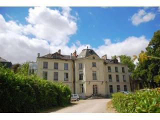 29 bedroom Castle For Sale: 41000 BLOIS