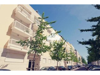 Charming Two-Bedroom Apartment In Expo