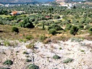 Rhodes Land Property For Sale