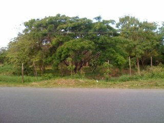 Commercial Lot In Sosua For Sale
