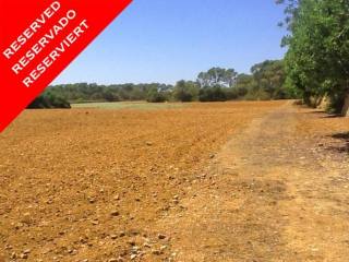 *RESERVED* Wonderful large building..
