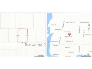 Land For Sale: Rossanne Pl, Englewood..