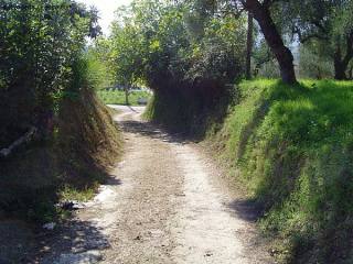 Land with building licence, Zakynthos