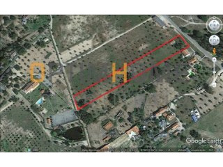 Farm For Sale - Portalegre