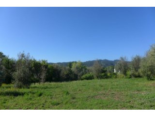 Land plot With Viability To Built In..