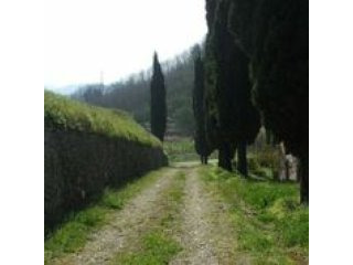 Commercial/business - For Sale - - EUR..