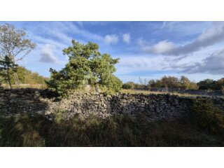 Pašnjak ograđen suhozidom, površine 1705 m2