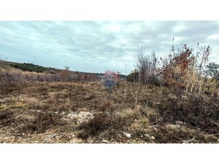 Istra, Buje okolica, poljoprivredno zemljište