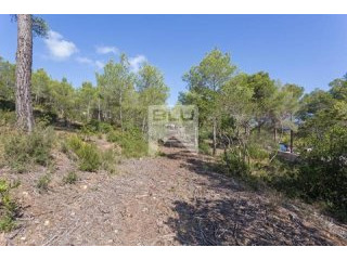 Plot in Javea