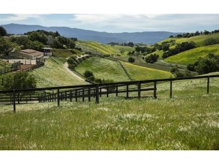 Land For Sale: 1 Ballard Canyon
