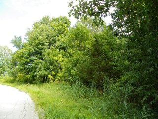 Land For Sale: Devon Farms Rd Hopewell..