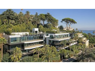Wonderful New Project Cannes Californie