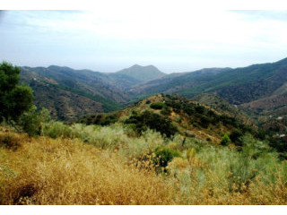 Country Houses for Sale in Malaga..